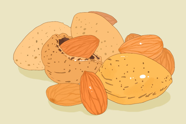 �����۵Ĺ�Ч�ͽ��� �����۵�ʳ�ý���